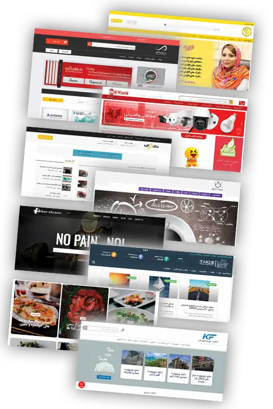 نمونه کارها